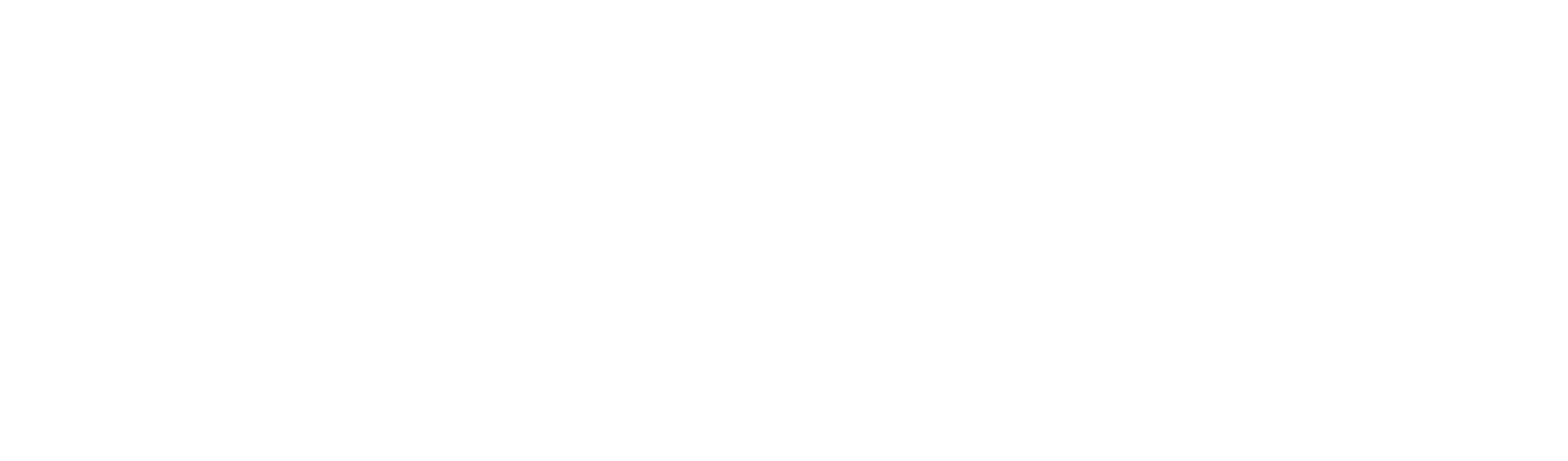 LUV DISK
